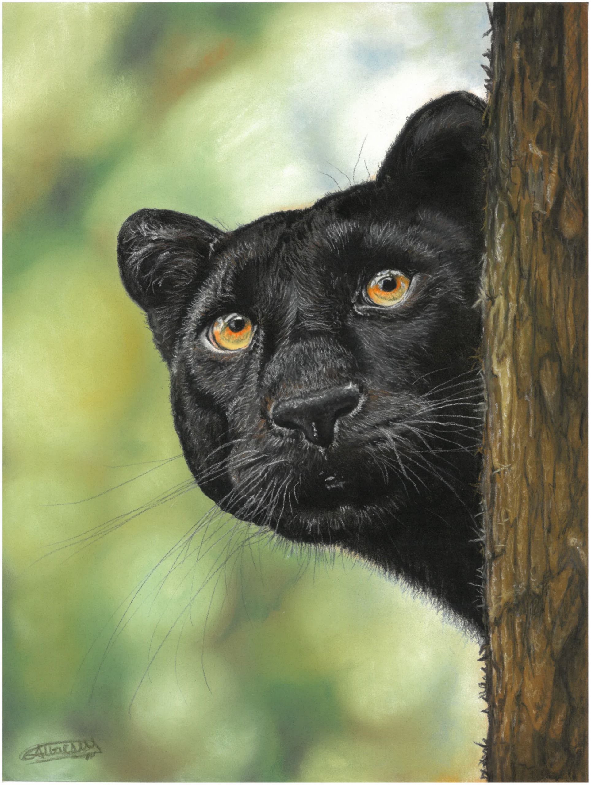 Black Panther - Open Edition Print