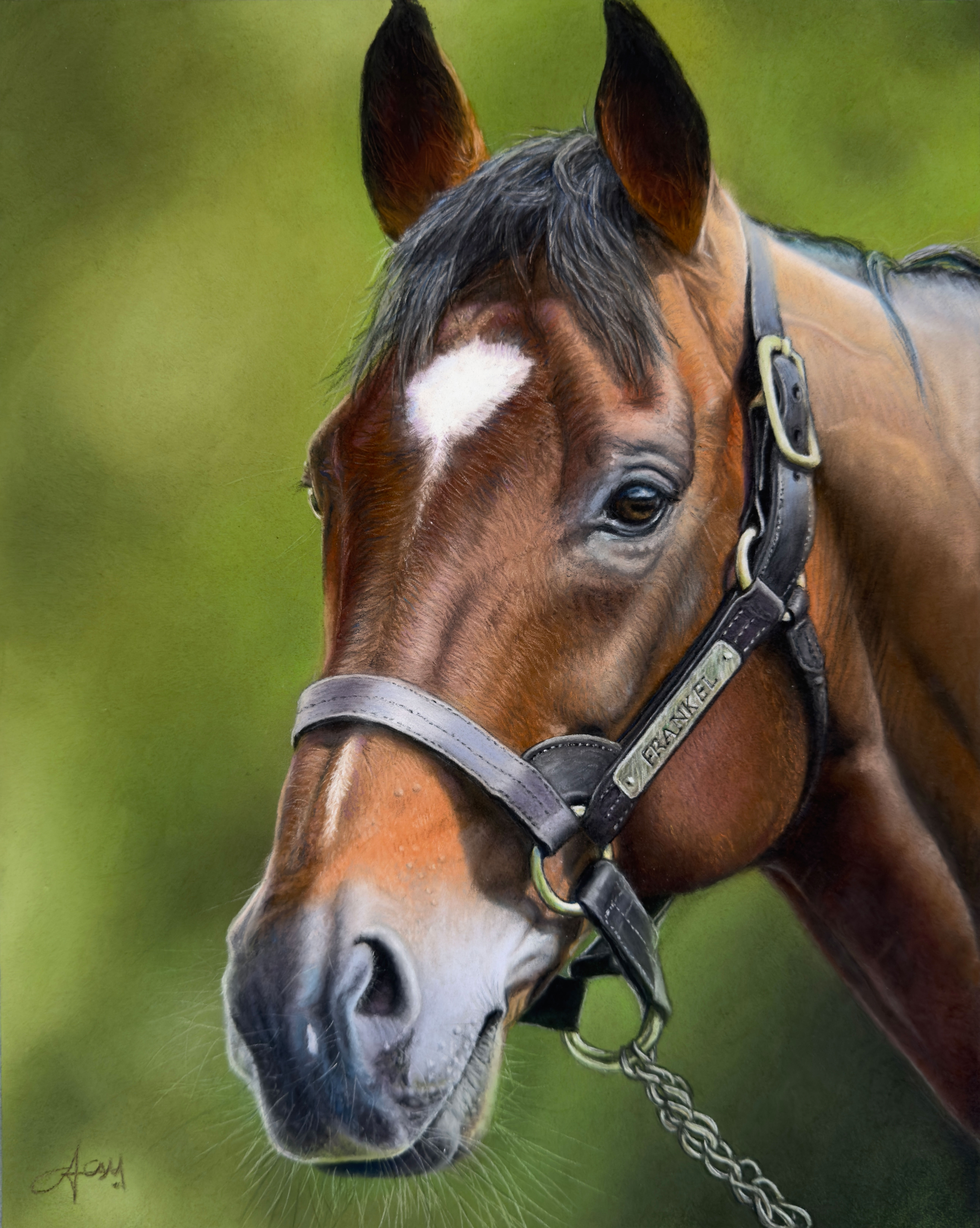 Frankel