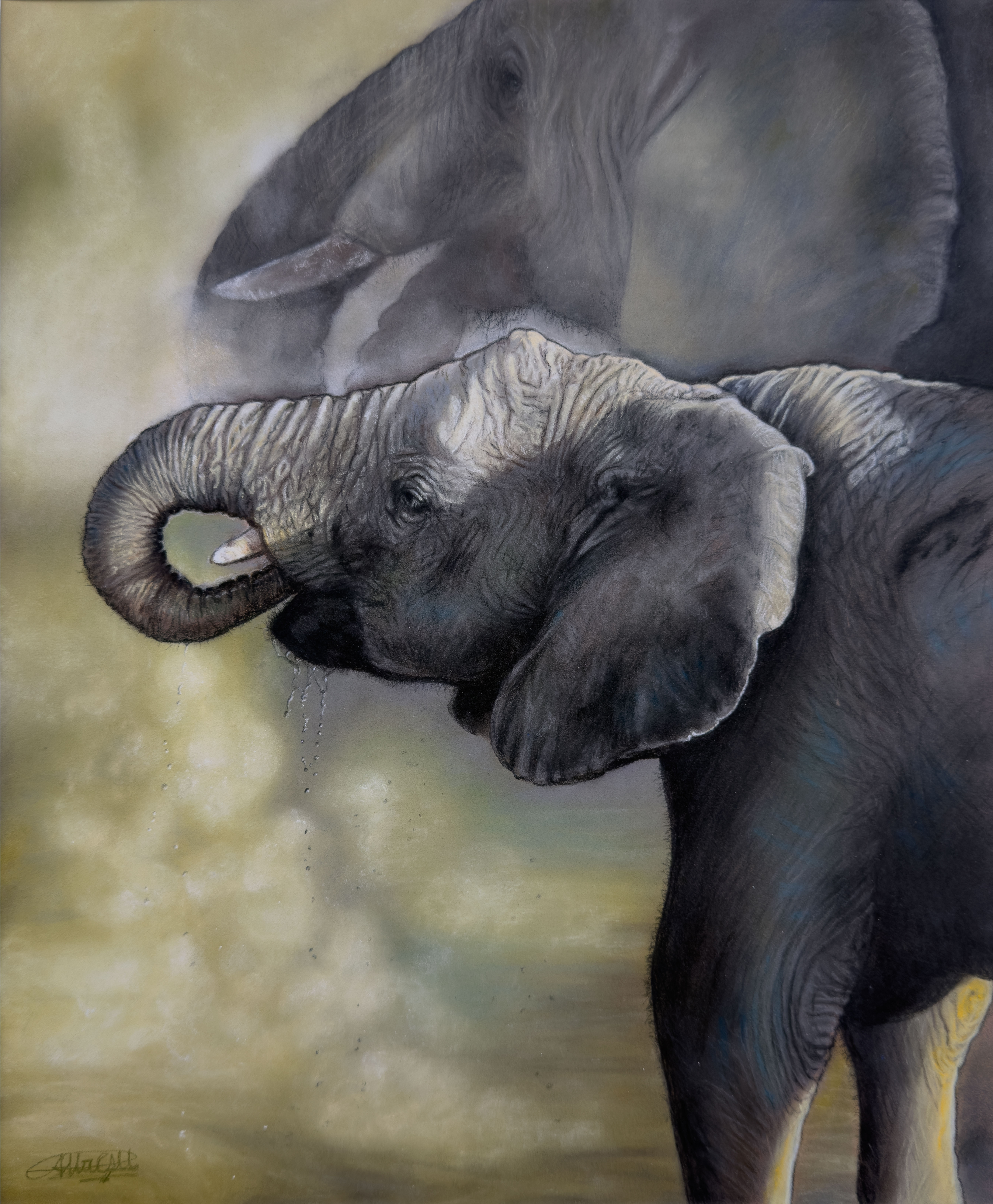 Elephants