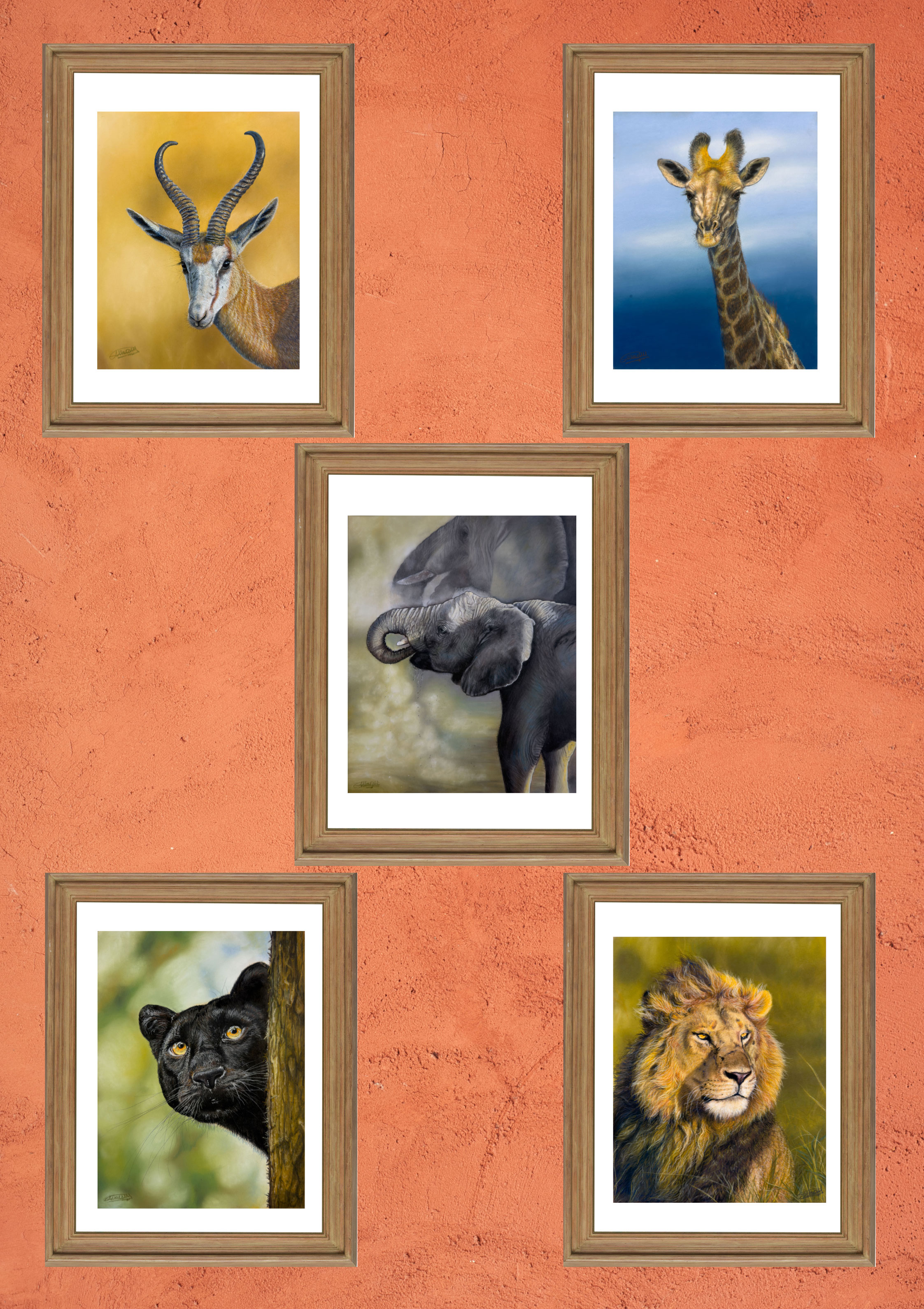 Safari Icons Full Collection (5 prints)
