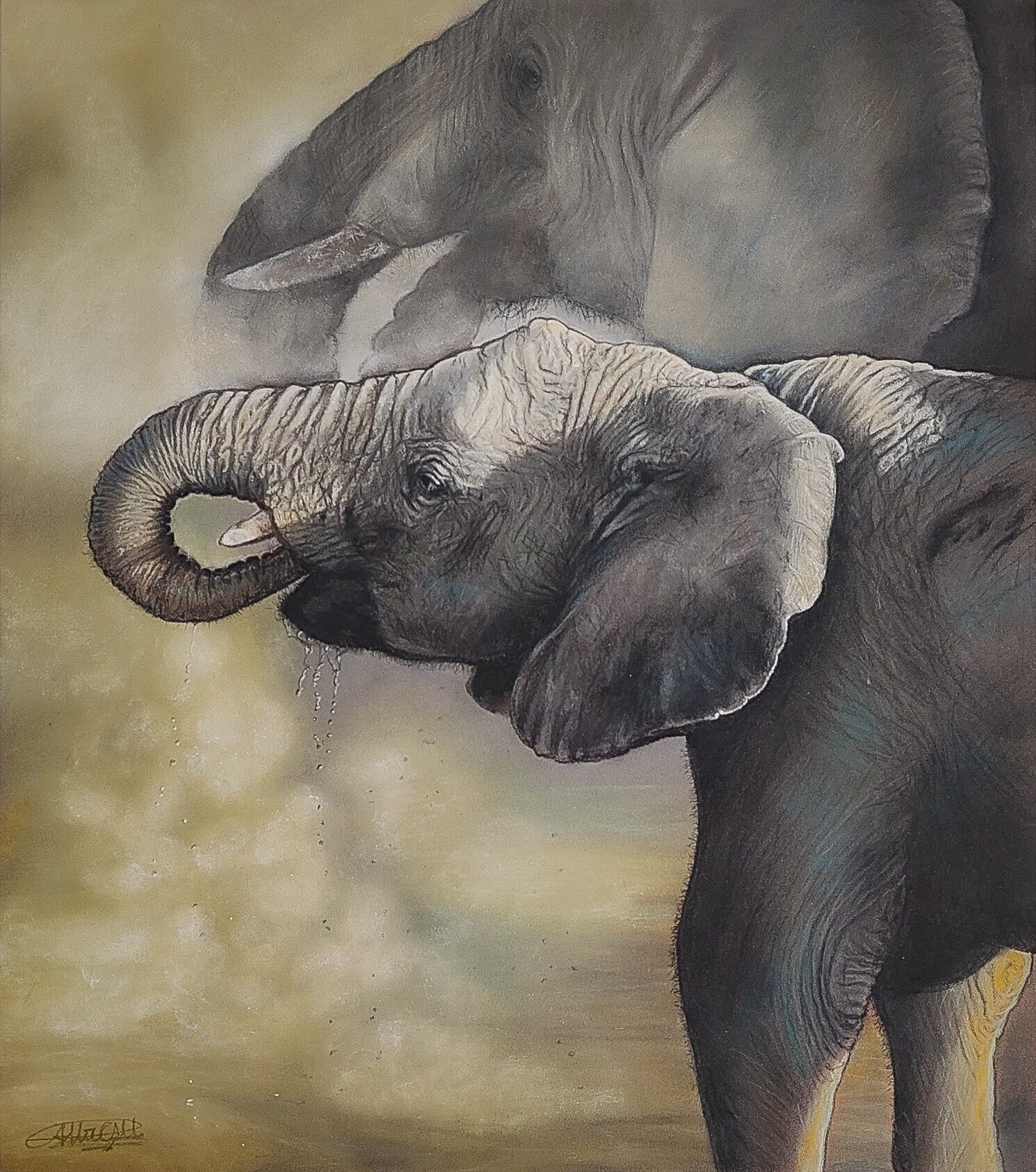 Elephants - Open Edition Print